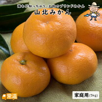 楽天市場】山北みかん 約5キロの通販 