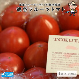 徳谷トマト1kg（約16～20玉入） トマト フルーツトマト 徳谷 土佐 高知 国産