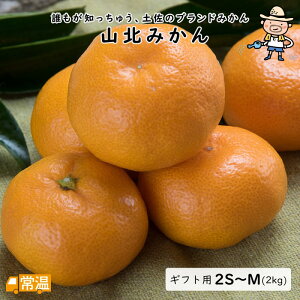 yF12{܂Łz Rk݂ Mtgp 2S`ME2kg ݂ Rk Rk݂ ~J  k Mtg y m Y kCEEȂǂ̈ꕔ̒n͒ǉ