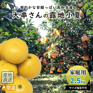 y3{菇z ̘Inā@ƒp@2.5kg ysz  Ȃ Ric  j[T}[IW In In Mtg k  yz y͂w