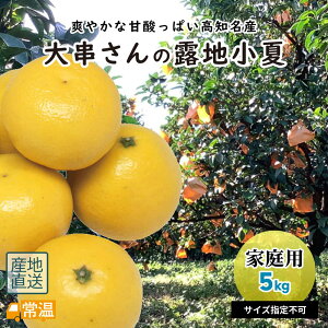 y3{菇z ̘Inā@ƒp5L ysz  Ȃ Ric  j[T}[IW In In Mtg k  yz y͂w