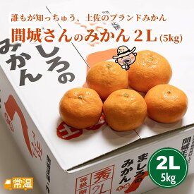 【発送時期：12月上旬】 間城さんのみかん 2L・5kg みかん 高知 土佐 ミカン 山北みかん フルーツ 間城農園 山北 果物 ましろのみかん 【送料無料】 北海道・沖縄・離島などの一部の地域は追加送料発生 【お届け指定日不可】