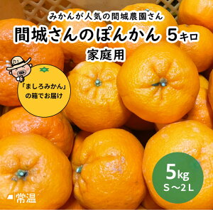 �y2026�N2�����{�����J�n�z �ԏ邳��̂ۂ񂩂�@�ƒ�p�@5�L�� �|���J�� �ۂ񂩂� ���k �y�� ���m ���Y �ԏ�_�� �M�t�g �y���������z �y�����s�z �y���͂��w����s�z