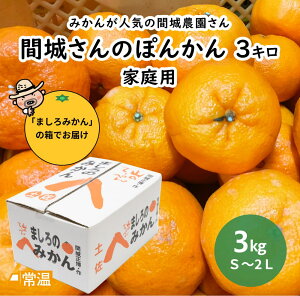 �y2�����{��菇�������z �ԏ�_���@�ۂ񂩂�@�ƒ�p�@3kg �|���J�� �ۂ񂩂� ���k �y�� ���m ���Y �ԏ�_�� �M�t�g �y���������z �y�����s�z �y���͂��w����s�z