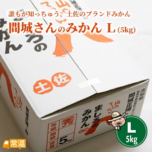 【発送時期:12月上旬】 間城さんのみかん Lサイズ 5kg 【同梱不可】 みかん 高知 土佐 ミカン 山北みかん フルーツ 間城農園 山北 果物 ましろのみかん 【送料無料】 【お届け指定日不可】