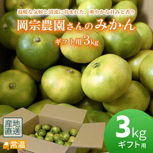 岡宗農園さんのみかん ギフト用 3kg みかん 3kg 高知 土佐 すえひろ屋 ミカン 温州みかん 山北みかん フルーツ 柑橘 【送料無料】 【同梱不可】