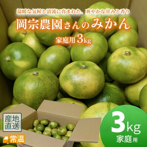 岡宗農園さんのみかん 家庭用 3kg みかん 3kg 高知 土佐 すえひろ屋 ミカン 温州みかん 山北みかん フルーツ 柑橘 【送料無料】 【同梱不可】