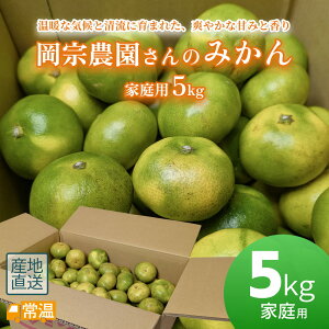 岡宗農園さんのみかん 家庭用 5kg みかん 5kg 高知 土佐 すえひろ屋 ミカン 温州みかん 山北みかん フルーツ 柑橘 【送料無料】 【同梱不可】