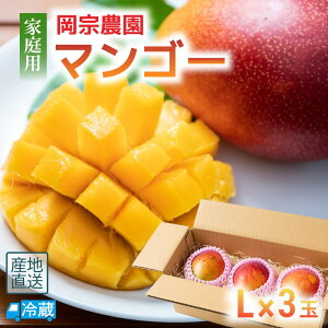 ���i�摜