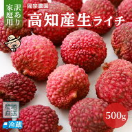 【2026年6月上旬より順次発送】 岡宗農園　訳あり家庭用　生ライチ500g 【同梱不可】 ライチ 生ライチ 国…