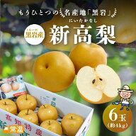【10月上旬より順次発送開始】 黒岩産新高梨 6玉入(約4kg) 新高梨 梨 黒岩 土佐 高知 国産 【送料無料】 …