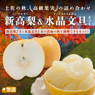 【10月上旬より順次発送開始】 新高梨2玉水晶文旦1玉セット 果物 くだもの セット 新高梨 梨 なし 水晶文…