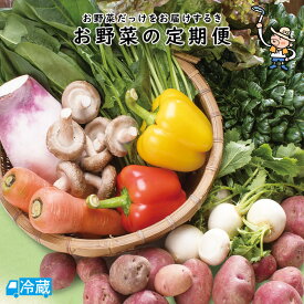 【定期購入】野菜の定期便【野菜】