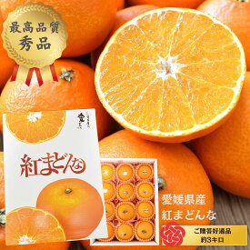 愛媛県産　紅まどんな（約3kg）☆化粧箱入り☆ぷるぷるゼリー食感で人気紅まどんなのご予約受付中