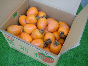 QY`ia`j8kg2025N̊`pIӁ11{ȍ~̔Jn\ł