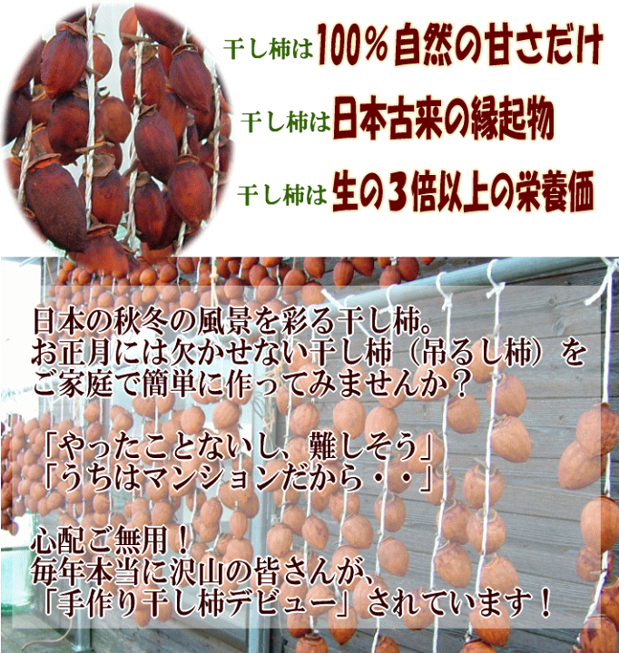 楽天市場】愛媛県産愛宕柿（渋柿）8kg2025年の干し柿用！☆注意☆11月