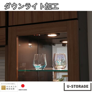 yIvVz _ECgH CeBOfXN jbg[ ϐk Ԏ[@{ ؍H U-storage us-op-led