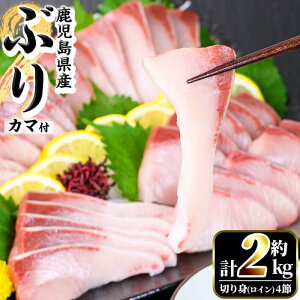 ハマチの人気商品・通販・価格比較 - 価格.com