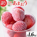 【送料無料】訳あり 福岡県産 あまおう 冷凍いちご 計1.6kg(800g×2袋) 国産 九州産 福岡県産 苺 イチゴ いちご あまおう 冷凍いちご 冷凍 果物 フルーツ アイス シャーベット スムージー 家庭用 不揃い 【よっちゃんファーム】