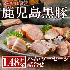 【1/15限定全品ポイント5倍！】ハム・ソーセージ詰合せ 計1.48kg（炭火焼き焼豚、モモハム、モモハムパストラミ、ベーコン、厚切りロースハム、ウインナーソーセージ、ボロニアソーセージ、2年熟成生ハム） 詰め合わせ セット【南州農場株式会社】