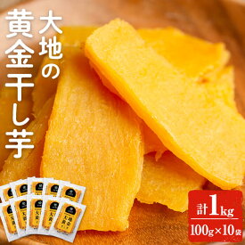【400円OFFクーポン】【10%OFFクーポン】送料無料 低GI 海外でも販売中 大地の黄金干し芋 1kg(100g×10袋) 干し芋 干しいも ほしいも 鹿児島県産 さつまいも サツマイモ さつま芋 芋 イモ 紅はるか 無添加 無着色 砂糖不使用【末永商店】