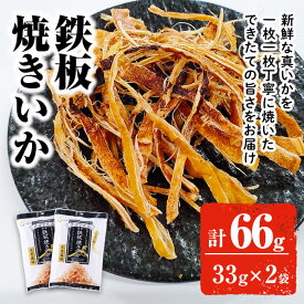 【10%OFFクーポン】この道一筋 鉄板焼きいか (33g×2袋) おつまみ おやつ 珍味 乾物 濃厚 美味しい 晩酌【オガワ食品】