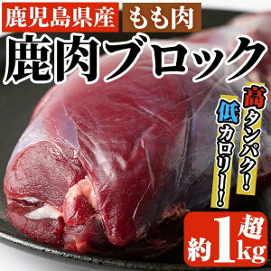 vYubN(1kg`1.2kg)ύݗ o[xL[ BBQ ubN WrG  ݂ ݂ J[ ς _CGbg S R̍KyʎВc@l爢v