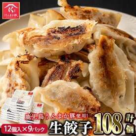 【10%OFFクーポン】【送料無料】 鹿児島うんまか豚生餃子 計108個(12個入×9P・タレ付) にんにく・ニラ不使用！ 国産野菜100%のぎょうざ！ 餃子 ぎょうざ ギョーザ 生餃子 焼き餃子 水餃子 国産 豚肉 【肉の寺師】