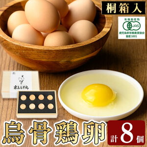 s˔tI[KjbNG{uG{v(8) L@JAS R s Y BY Y ܂  { G{  H Mtg  v[gy