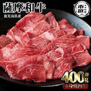 yzFa̐Ԑgēp(400gE̓J^ēp)Y BY  a Ԑg Ă ē ʌ    J^ BBQ Lv Ⓚy܉YƁz