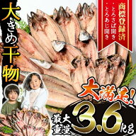 ＜選べる重量＞大きめ干物詰合せ＜合計2kg〜3.6kg！＞ 干物 セット 詰め合わせ ひもの 魚介類 魚 おかず …