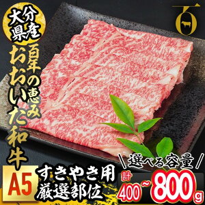 y11/15Si|Cg5{IzeʂIׂ遄SŇb a A5 ėp I (v400gEv800g) Y   ~ [X [X   a uh Ă 