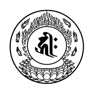 Ή 50mmہi50~ 5Z` 5cmj@@_Ё@S@͂񂱁@q@񂩂@Ӂ@@ア@X^v@@ڂ񂶁@Ή