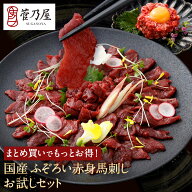 馬刺し 父の日 【P10倍！6/11 1:59まで】 国産 ふぞろい赤身馬刺し お試しセット 計210g 約5〜6人前 赤身…