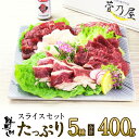 馬刺し スライスたっぷりセット 5種 計400g 約9〜10人前 (霜降り40g×2 ロース40g×2 赤身40g×2 フタエゴ40g×2 コウ…