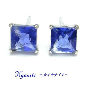 K10 �J�C���i�C�g 5mm �v�����Z�X�J�b�g �X�N�G�A �s�A�X WG YG �W���G���[ �X�^�b�h �z���C�g�S�[���h �C�G���[�S�[���h �󏭐� ���A�X�g�[�� �V�R��