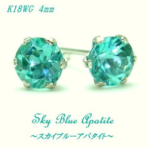 K18 XJCu[ Ap^Cg 4mm Eh sAX WG YG WG[ VR pCoJ[ i