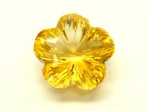 [X Vg t[ 8mm t@V[Jbg 5 1s[X