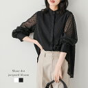 【半額クーポン対象】長袖 ブラウス シアー バンドカラー 比翼仕立て レディース 春夏【lstpss24-893】【即納&予約：3…