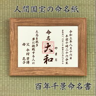【人間国宝の命名紙】百年千景 命名書 （額付き）命名書 命名紙 印字代筆 オーダー 額縁付き 出産祝い 名…