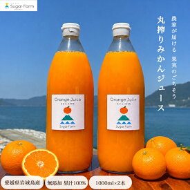 丸搾りみかんジュース 100％ 無添加ストレート 1000ml×2本 御中元 みかんジュース 無添加 ストレート 美味しい 愛媛 ストレートみかんジュース 愛媛県 みかんストレート 柑橘 果汁100% 国産ジュース 果汁100 濃厚 ジュース 1L 美味しいみかん 大人 子供 柑橘ジュース