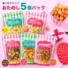 ポップコーン マッシュルーム 【5個パック キャラメル味 塩バター味 ミルク＆チョコレート味 チーズ＆キャラメル味 南高梅かつお味】ポップコーン シュガーレイ★幸運を呼ぶポップコーン インスタ映え スイーツ 父の日 プチギフト ギフト プレゼント 贈り物 可愛い