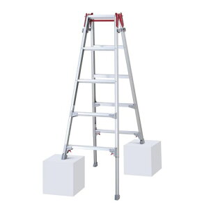 ���J��H��(Hasegawa)�͂������p�r���r���L�kRYZ-15d1.31~1.63m(10887)