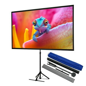 EPSON80C`ChvWFN^[oCXN[X^CvELPSC21B