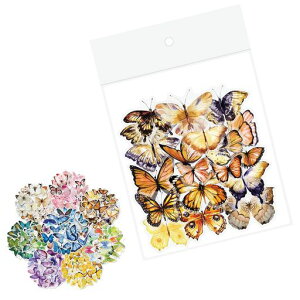 MeltryllisV[40Zbg̃m[gXebJ[ŖhDIYfR[V͂ȐڒF򂹂ɂX傤莆AoAfRV[XPW[J_[蒠fRǁc