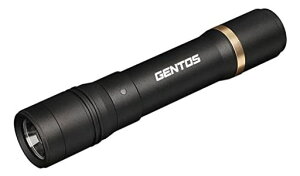 GENTOS(WFgX)dLEDCg[d(p[dr)600[NV[hRX-286RnfBCgtbVCg