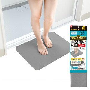 ΌSHOCK炳oX}bg(45x60cm)O[/{/ׂ~߉H/̔łz