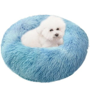 ZurZurLNbVybgxbhӂӂ薰gh[icEh^h΍􂦂銊~߂ӂӂLp\t@[ʔNybgpi