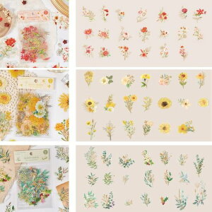 LANJINGXebJ[V[蒠V[XebJ[XebJ[ZbgԎ蒠V[PETfރCXgVvA[gDIYX}zP[Xp(fUC:Ԍ炩90ł)