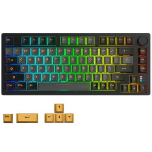 DAREUEK75PROQ[~OL[{[heL[X75%JjJL[{[h2.4GCX/Bluetooth/LUSBڑ\81L[pzKXPbg}EgRGBzbgXbvΉʒ߃mut